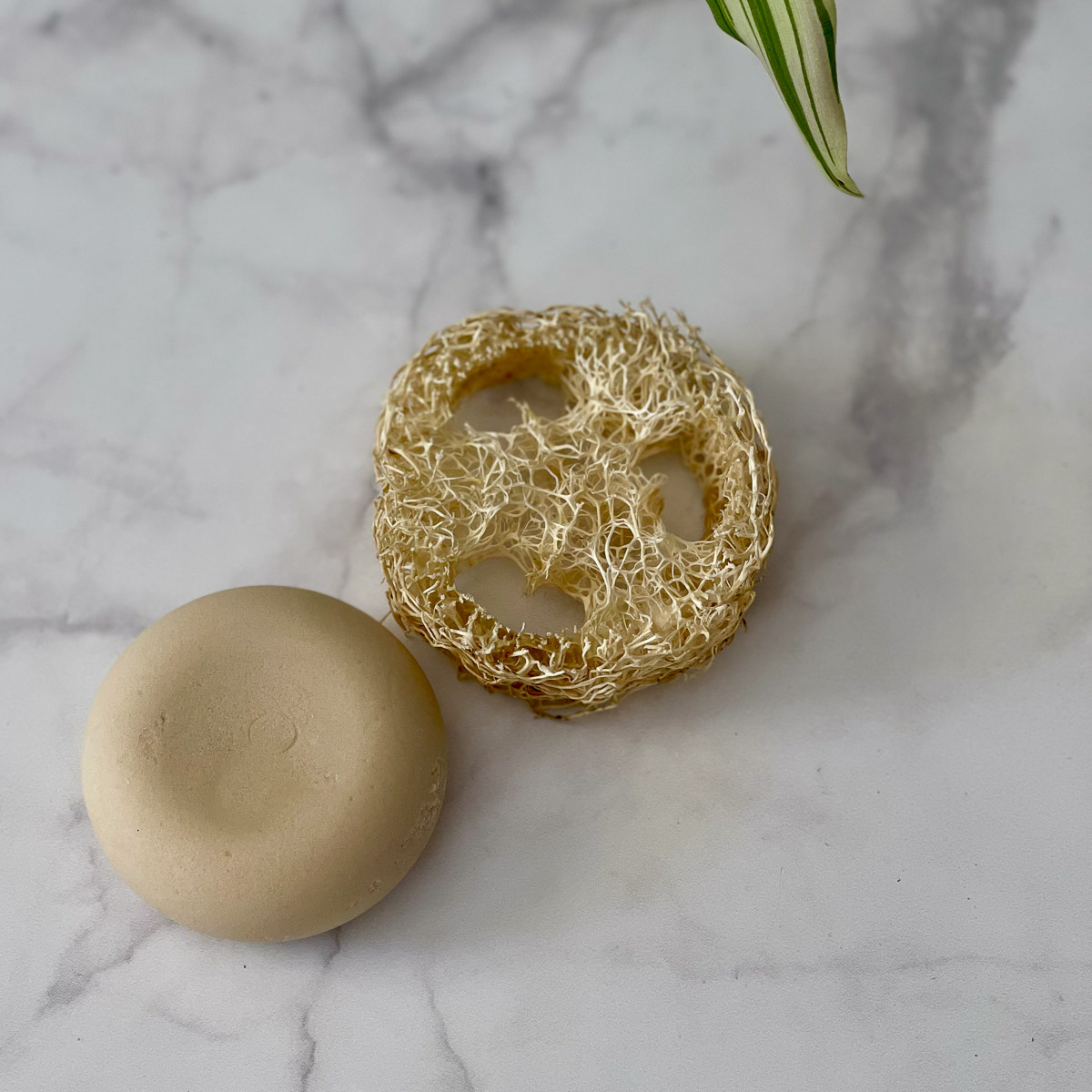Italian loofah sponge teby_9807 Luffa Spugna vegetale Italiana