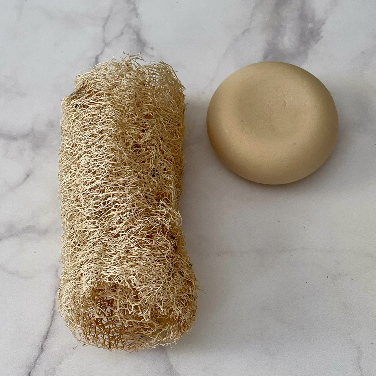 luffa spugna vegetale italiana teby_9809 Luffa Spugna vegetale Italiana