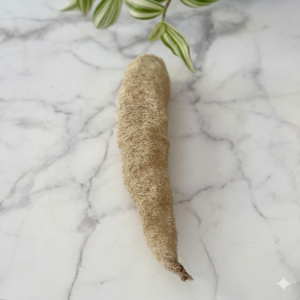 luffa italiana Teby intera